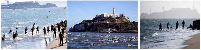 Alcatraz swim landing